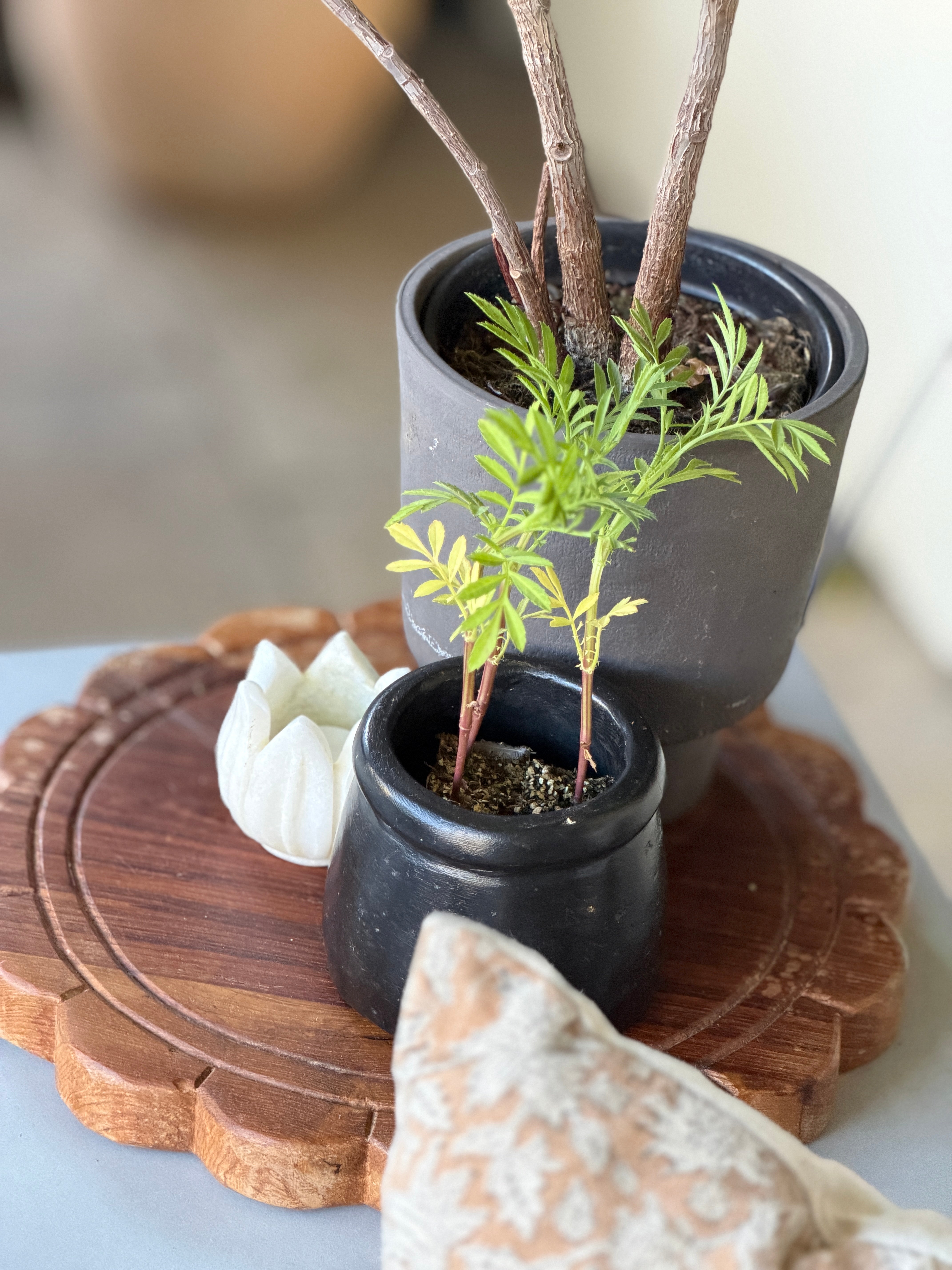 Stone Bowl