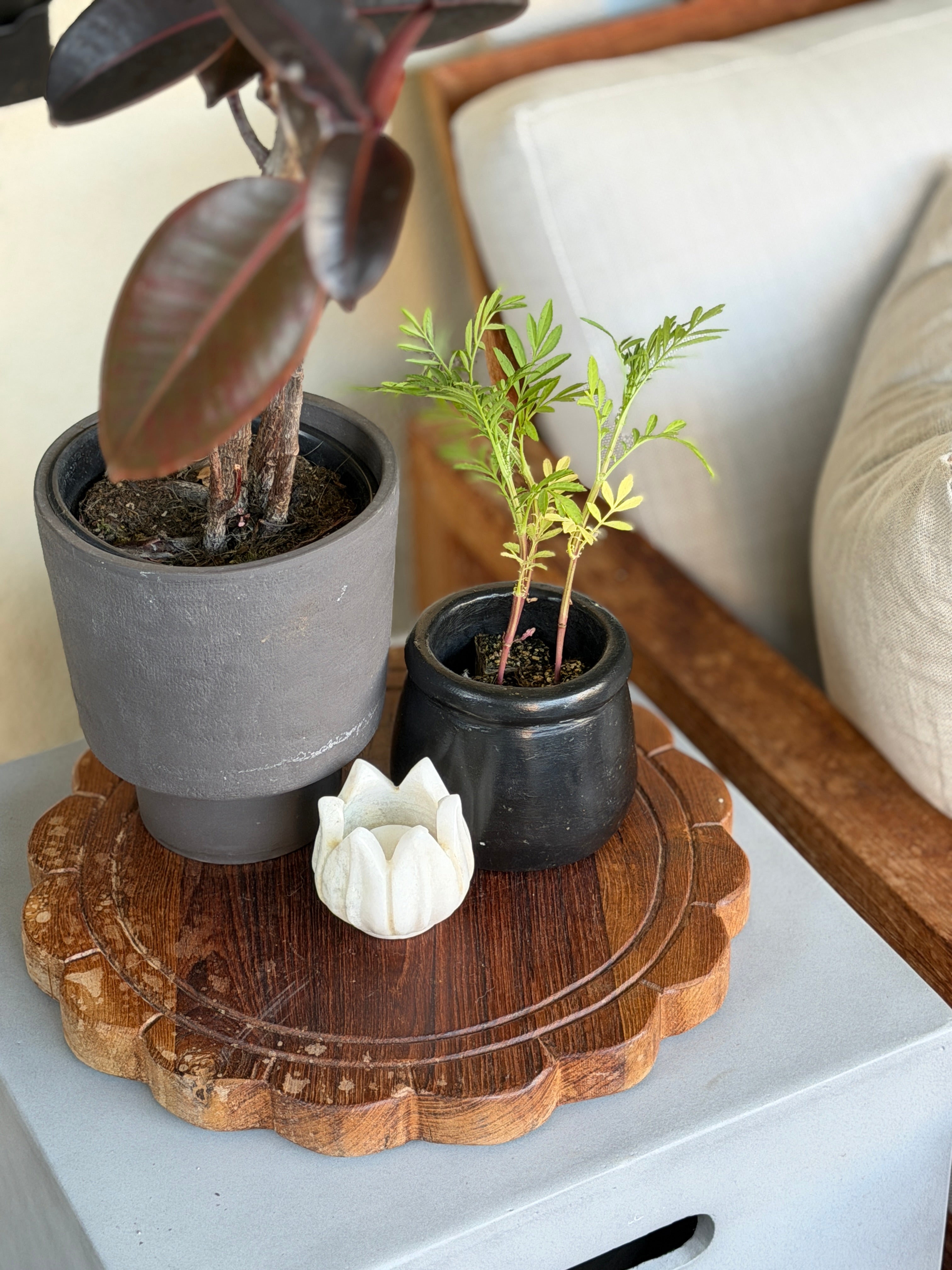 Stone Bowl