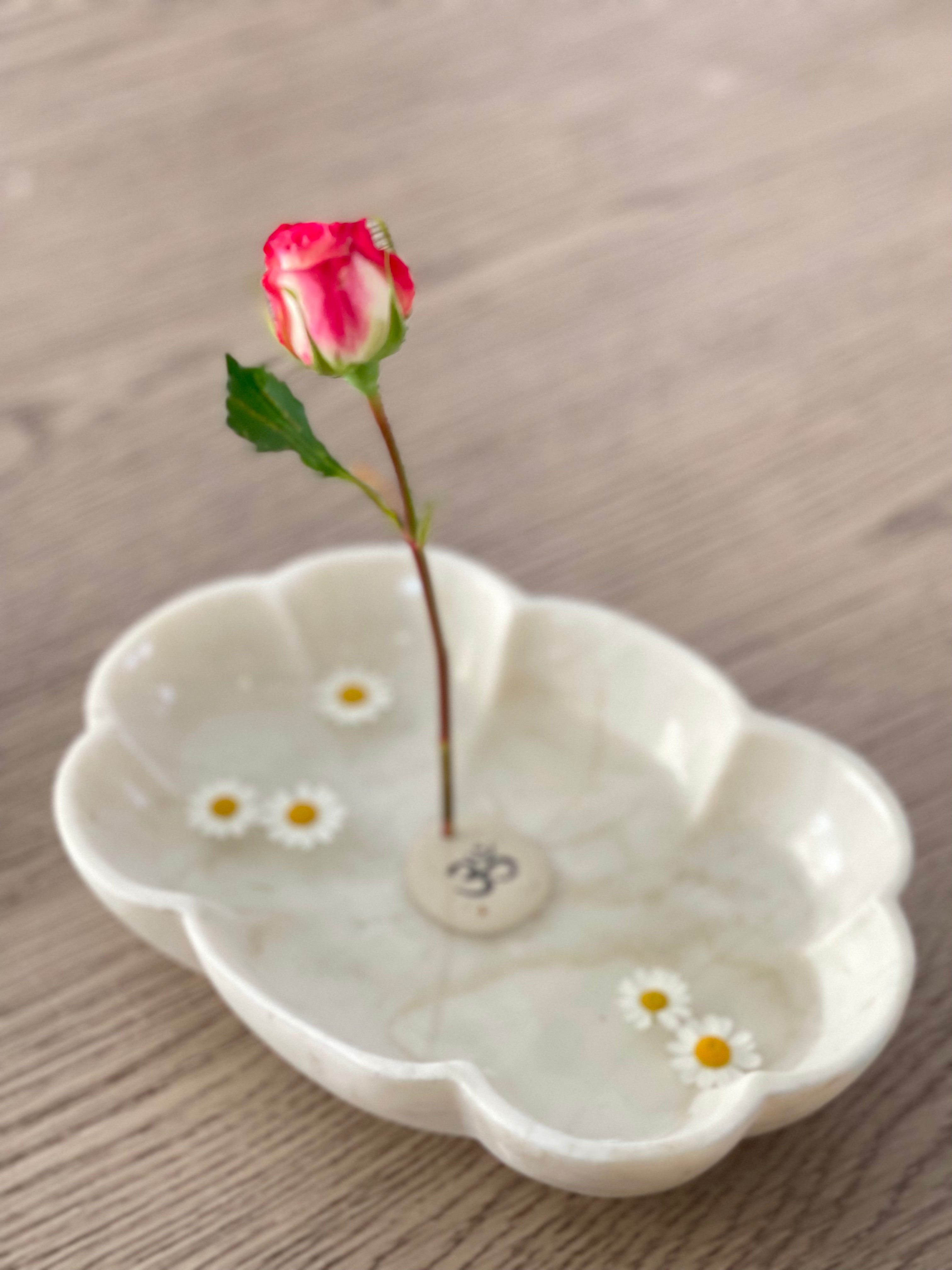 Gul Urli / Bowl