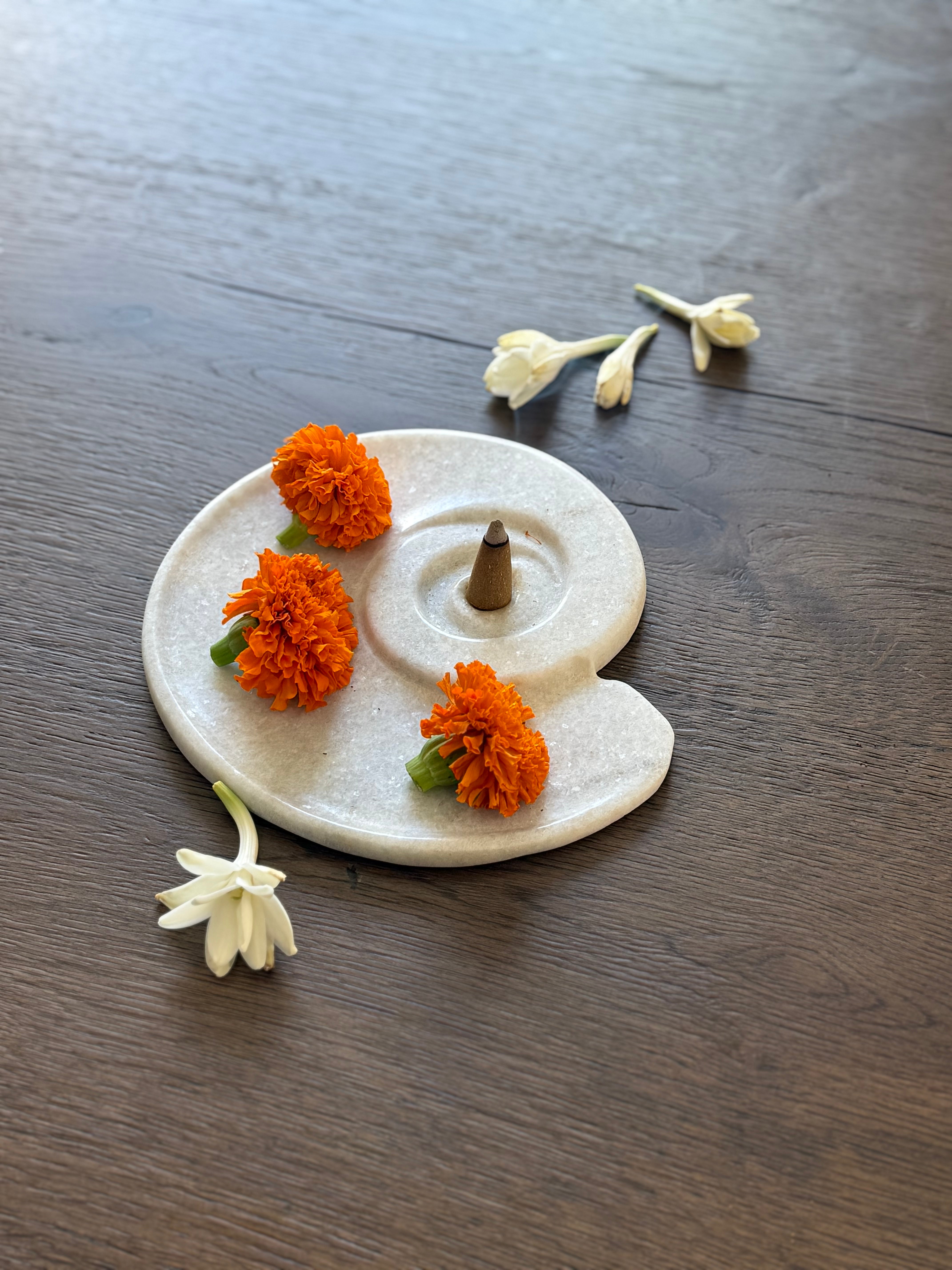 Nautilus Incense Holder